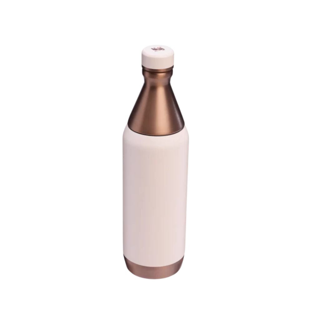 Botella All Day Slim 590 ml Stanley