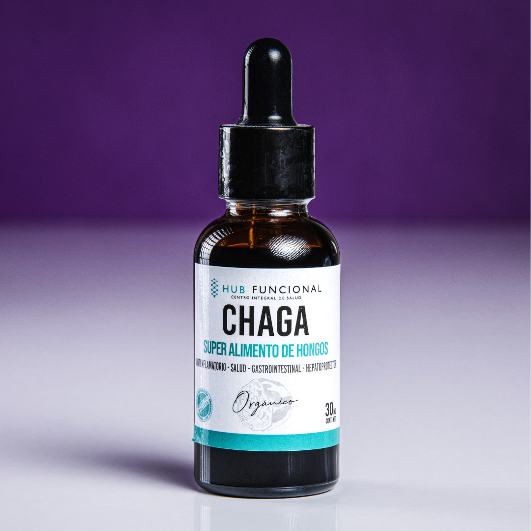 Chaga Hongo Medicinal Hub Funcional