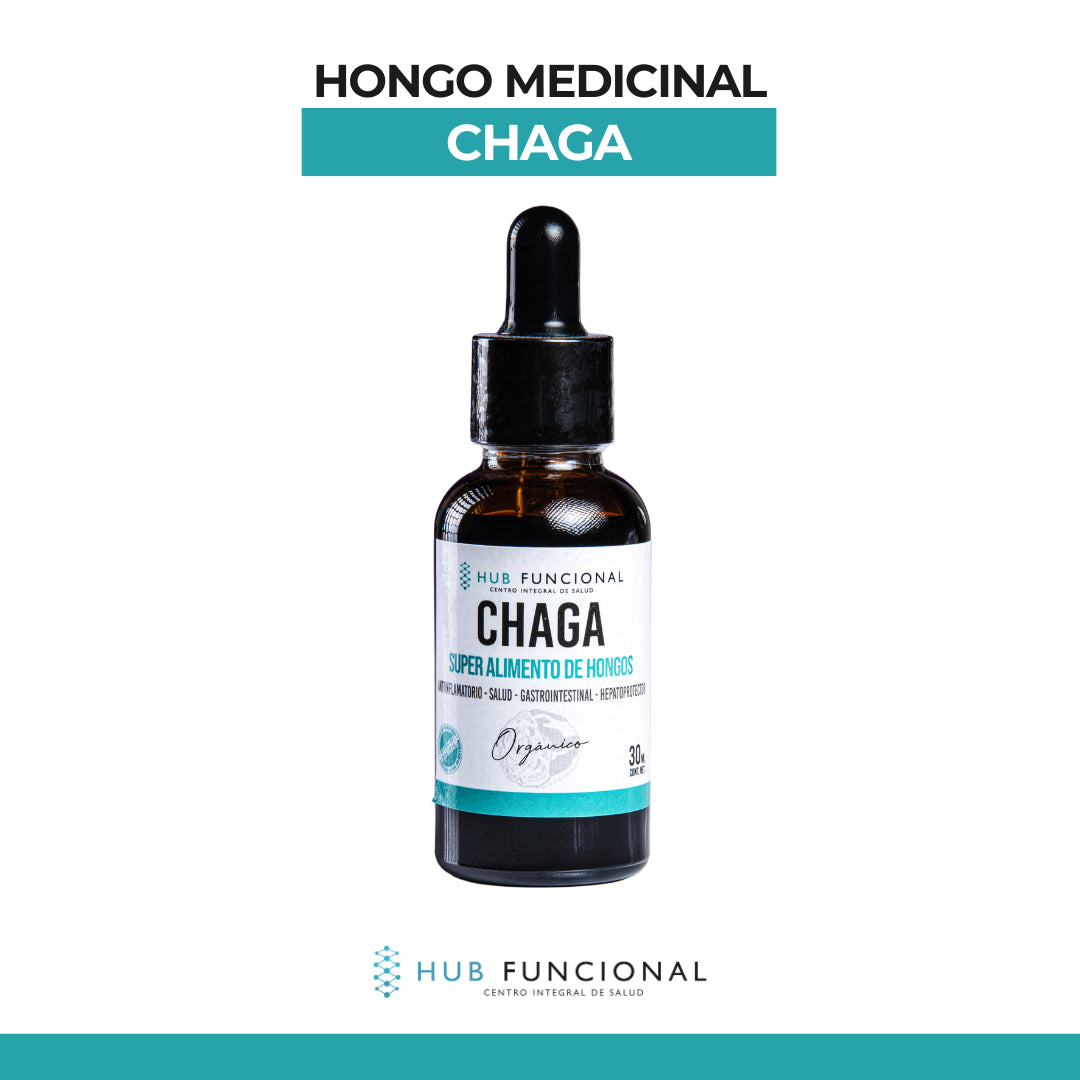 Chaga Hongo Medicinal Hub Funcional