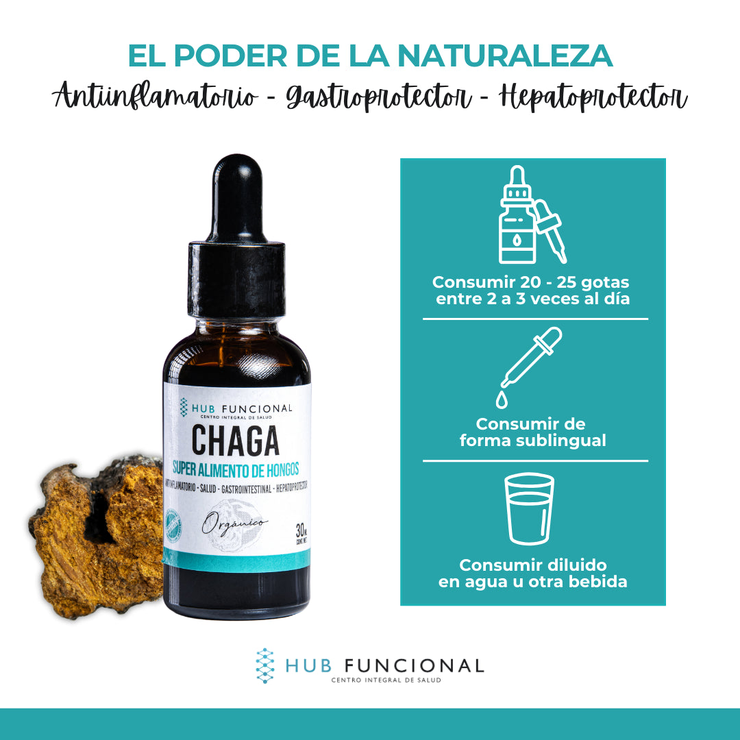 Chaga Hongo Medicinal Hub Funcional