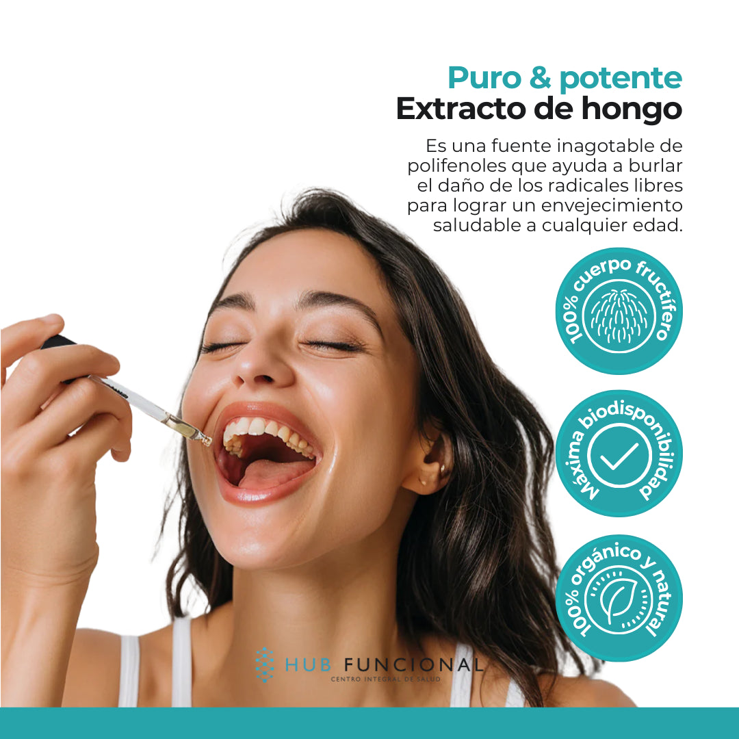 Chaga Hongo Medicinal Hub Funcional