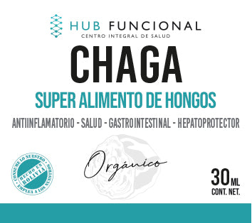 Chaga Hongo Medicinal Hub Funcional