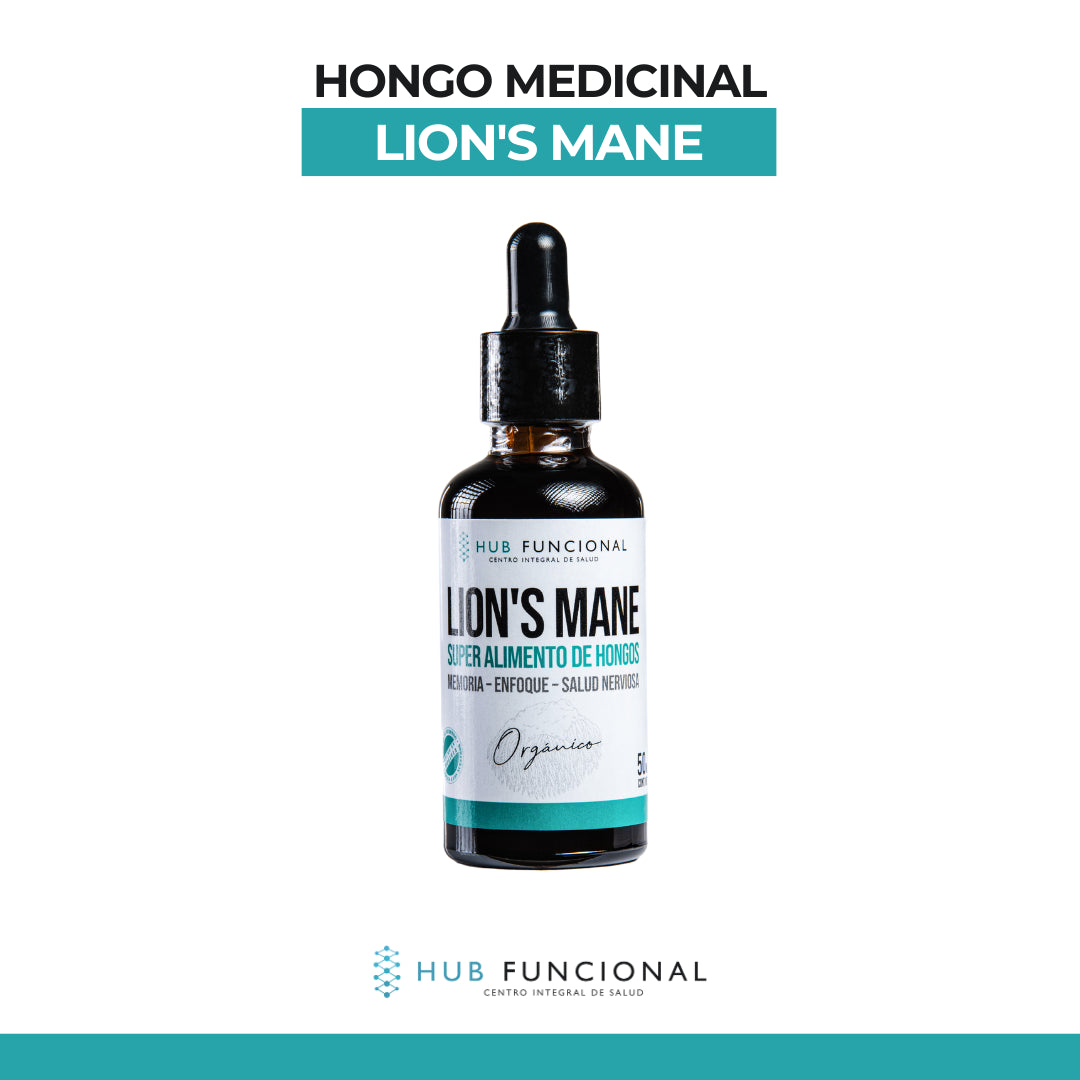 Lion's Mane Hongo Medicinal Hub Funcional