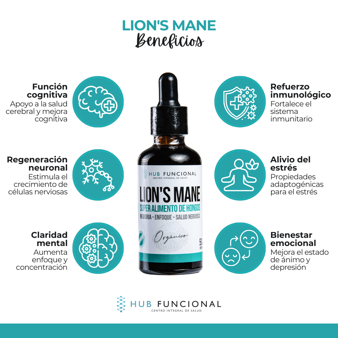 Lion's Mane Hongo Medicinal Hub Funcional