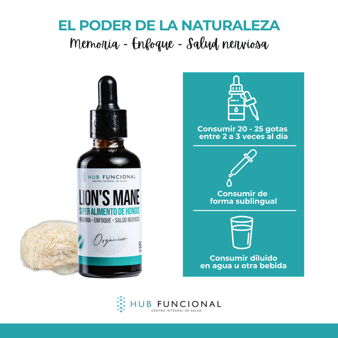 Lion's Mane Hongo Medicinal Hub Funcional