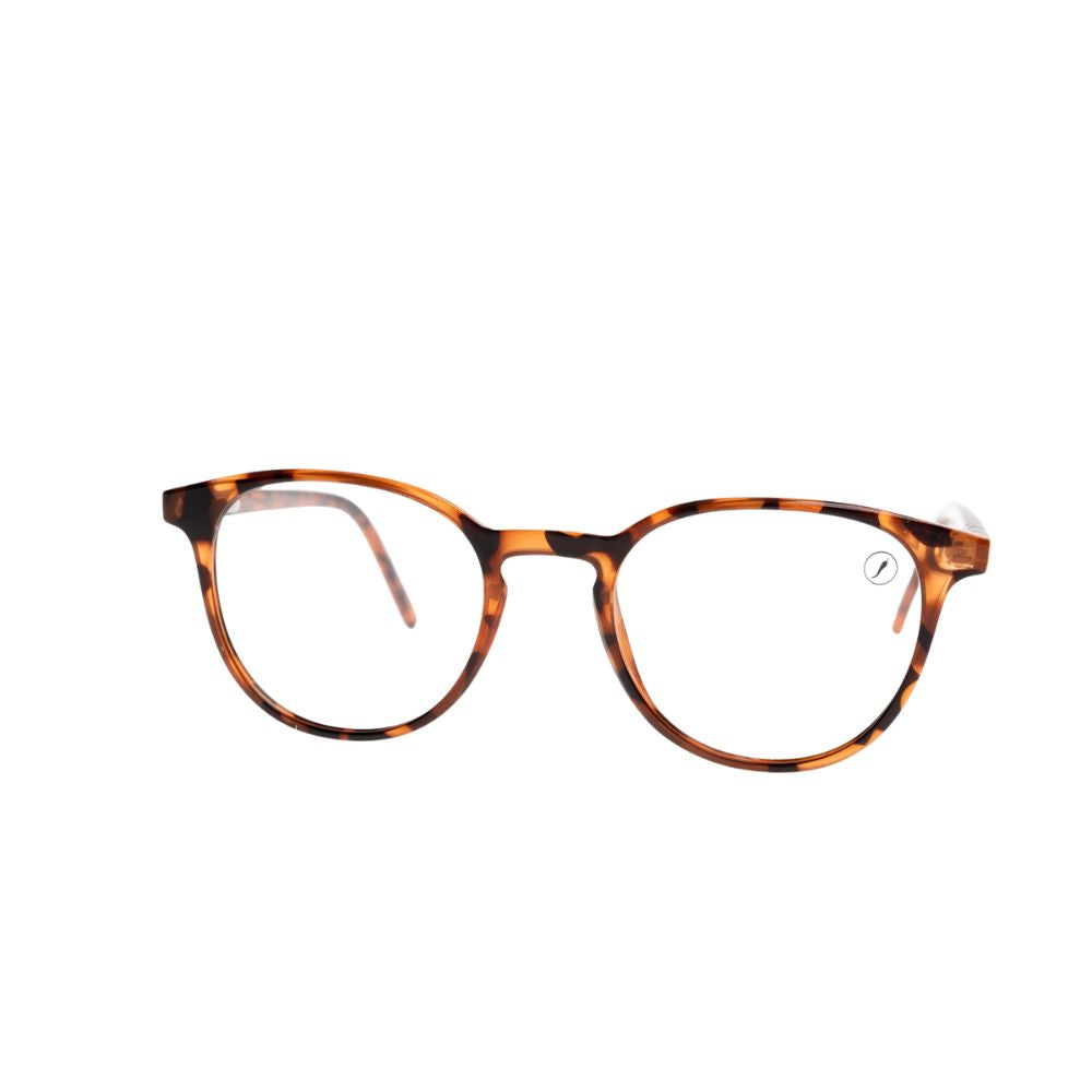 Montura de Lente Chilli Beans LVIJ0308