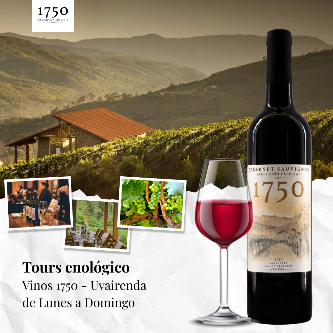 Tour Enológico Vinos 1750 Uvairenda en Samaipata Fecha 07-11-2025 Hora 12:00